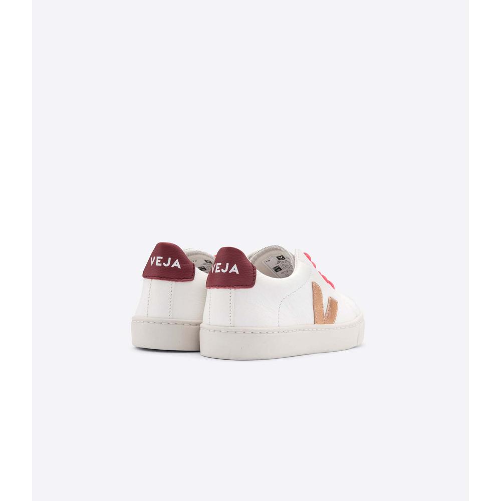 Veja ESPLAR LEATHER Tornacipő Gyerek Gold/Red/White | HU 810OKI